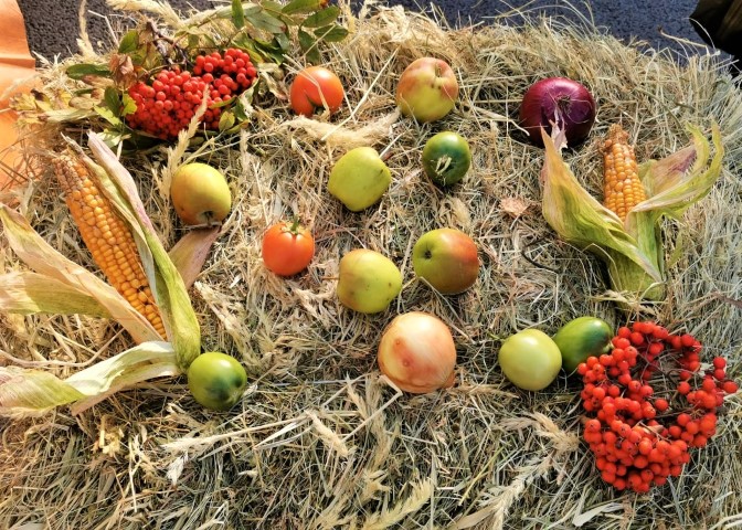 Праздник урожая на ярмарке «Осень-2020»