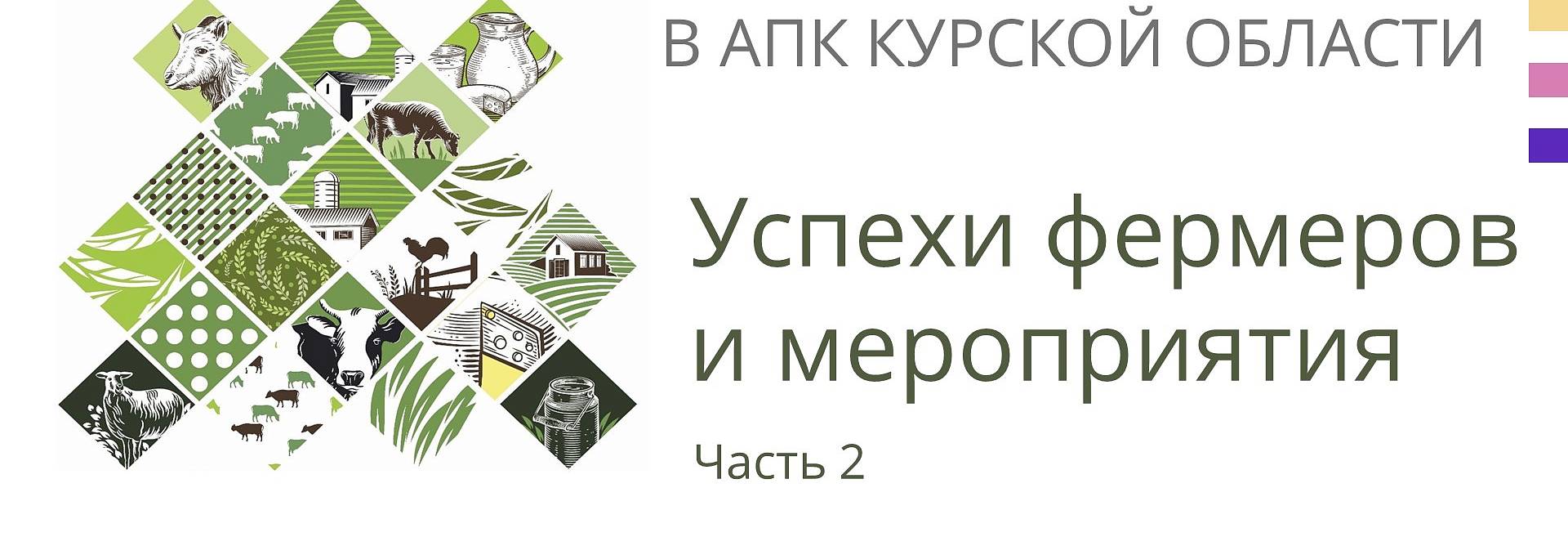 Работа Центра компетенций в АПК Курской области за 2021 год